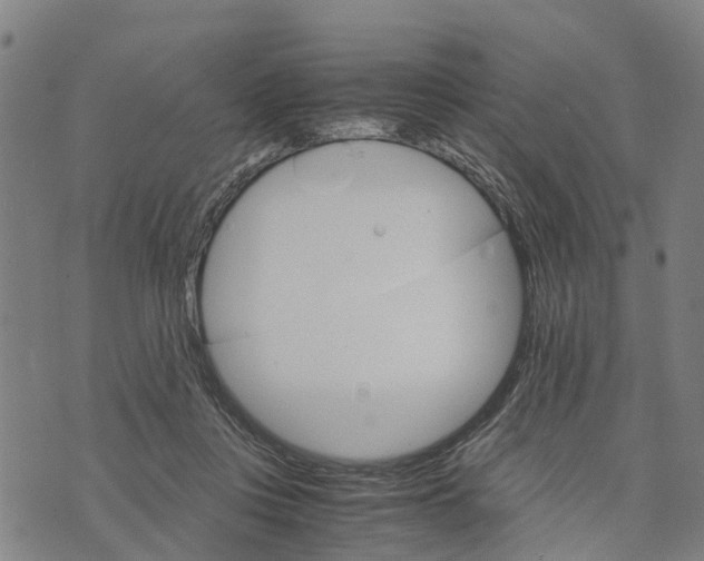 X0000073750359200608241353