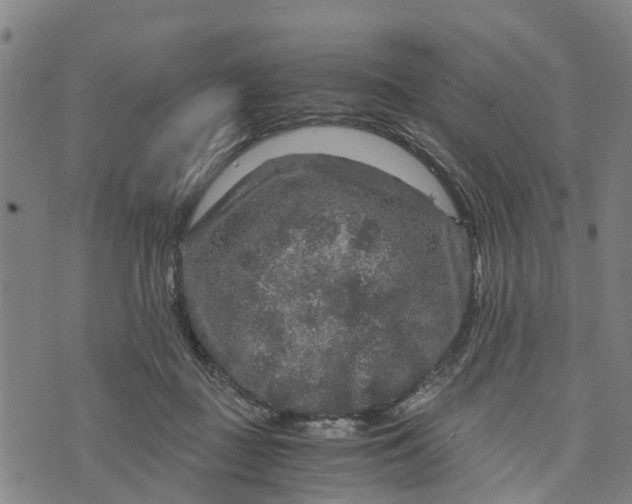 X0000073750363200608241353