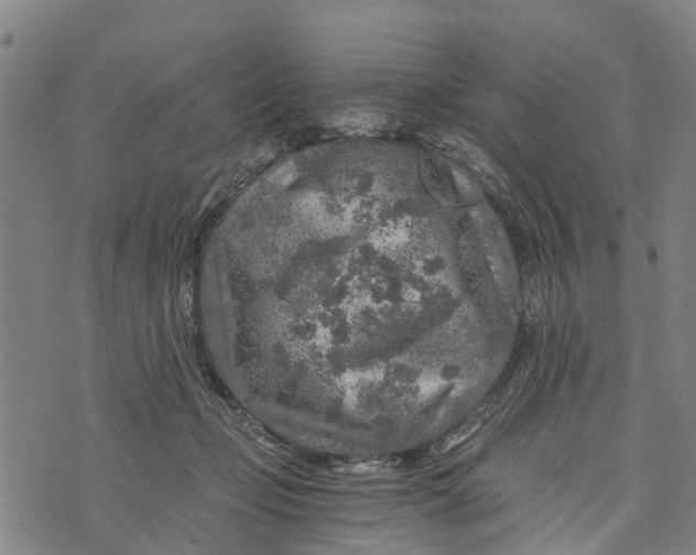 X0000073750365200608241353