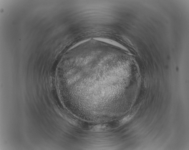 X0000073750366200608241353