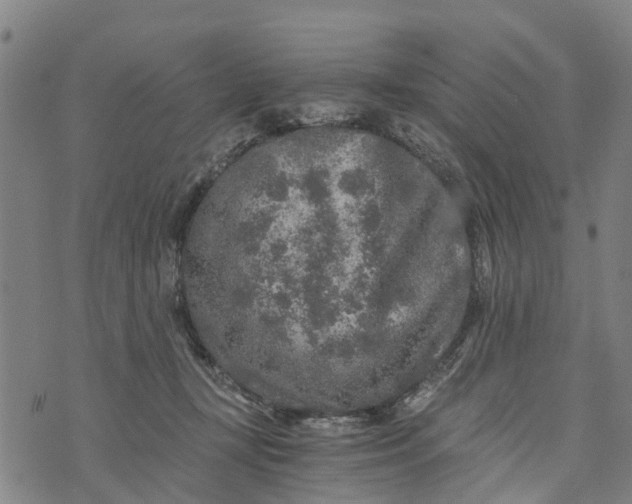 X0000073750367200608241353