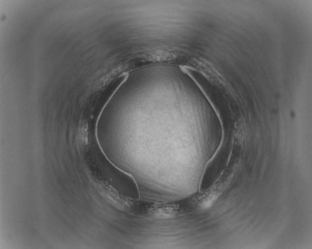 X0000073750368200608241353