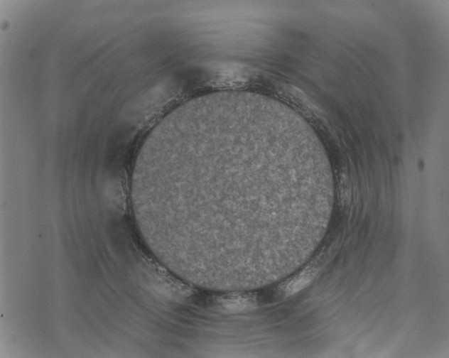 X0000073750370200608241353