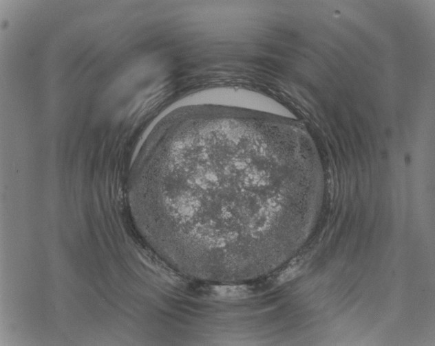 X0000073750371200608241353