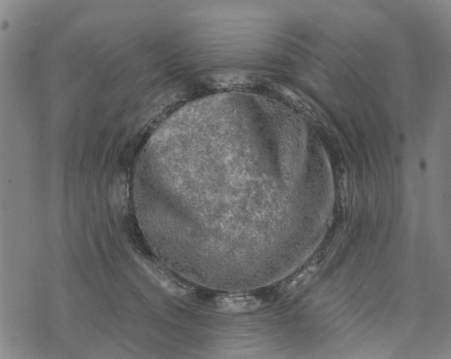 X0000073750372200608241353