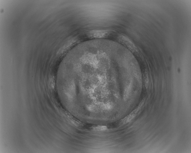 X0000073750374200608241353