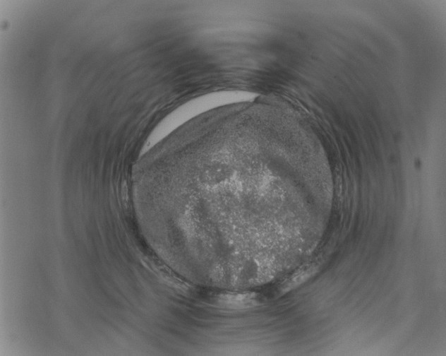 X0000073750375200608241353