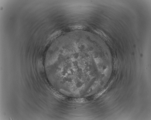 X0000073750377200608241353