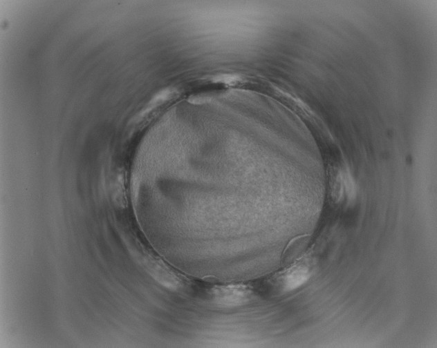 X0000073750378200608241353