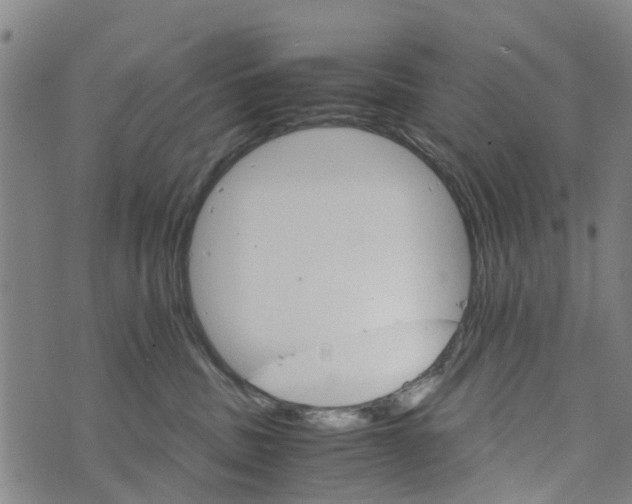 X0000073750379200608241353