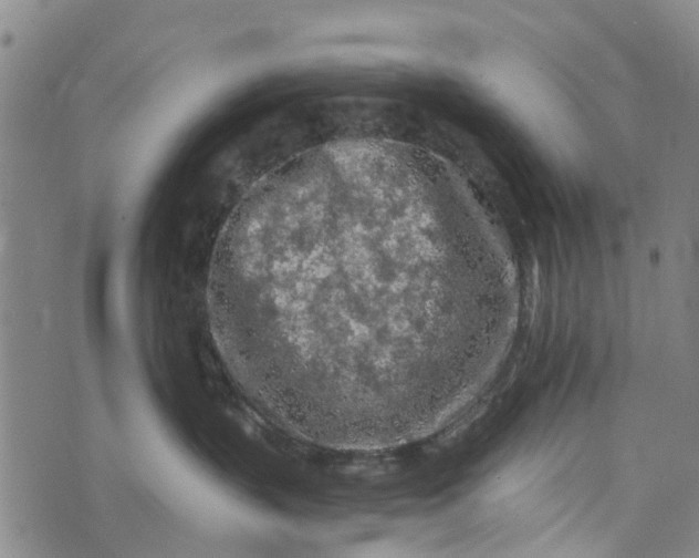 X0000073750383200608241353