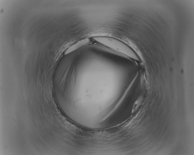 X0000073750385200608241352