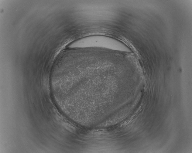 X0000073750386200608241352