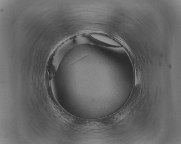 X0000073750387200608241352