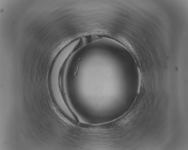 X0000073750389200608241352