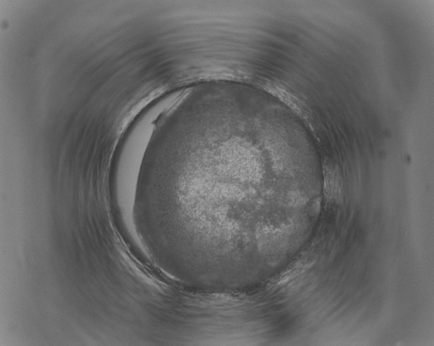 X0000073750390200608241352