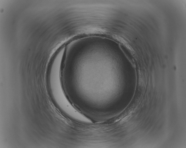 X0000073750391200608241352