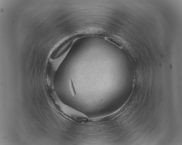 X0000073750392200608241352