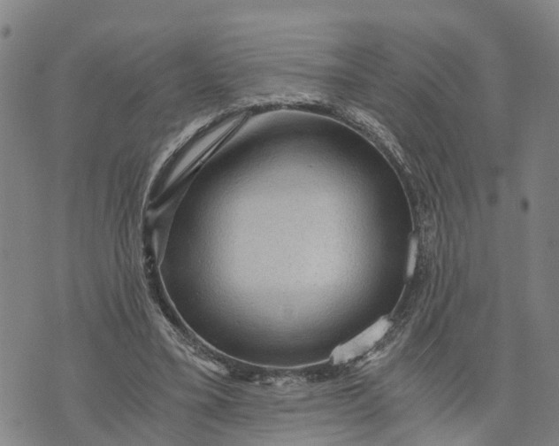 X0000073750395200608241352