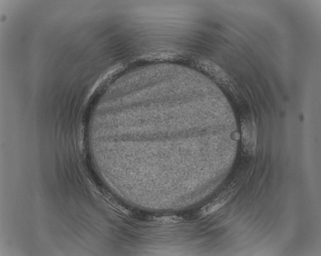 X0000073750396200608241352