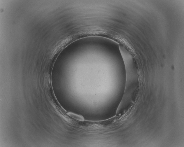 X0000073750397200608241352