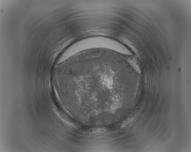 X0000073750398200608241352