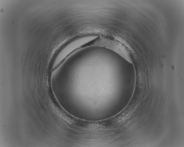 X0000073750399200608241352