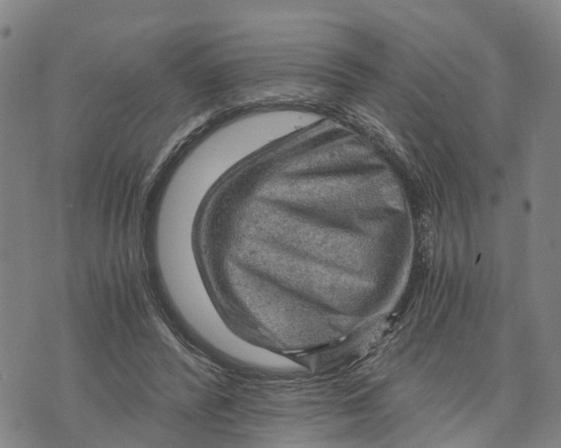 X0000073750400200608241352