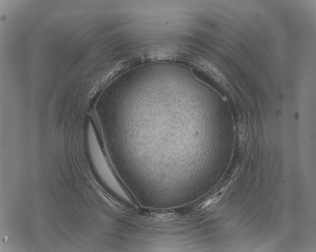 X0000073750401200608241352