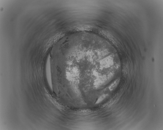 X0000073750402200608241352