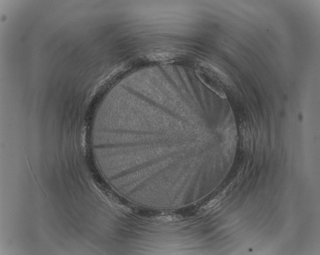 X0000073750404200608241352