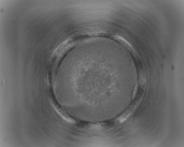 X0000073750405200608241352