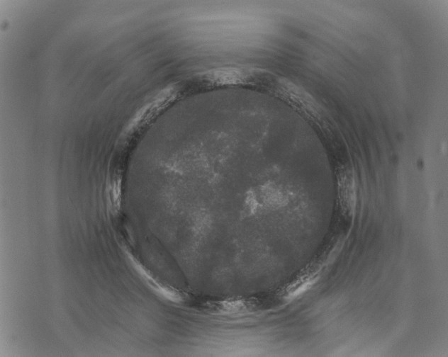 X0000073750406200608241352