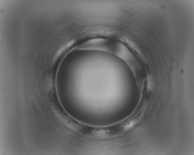 X0000073750407200608241352