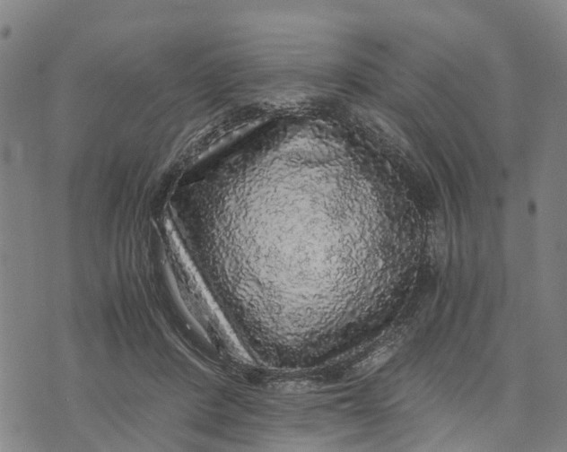 X0000073750408200608241352