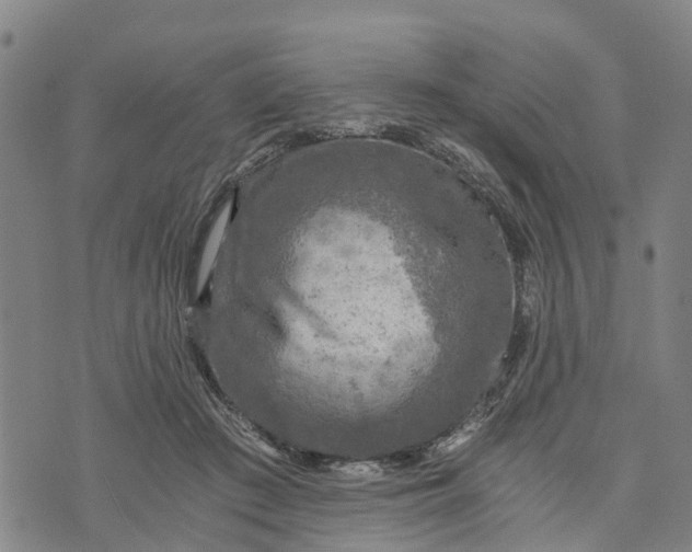 X0000073750409200608241352