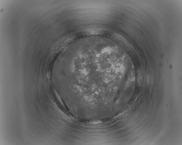 X0000073750410200608241352