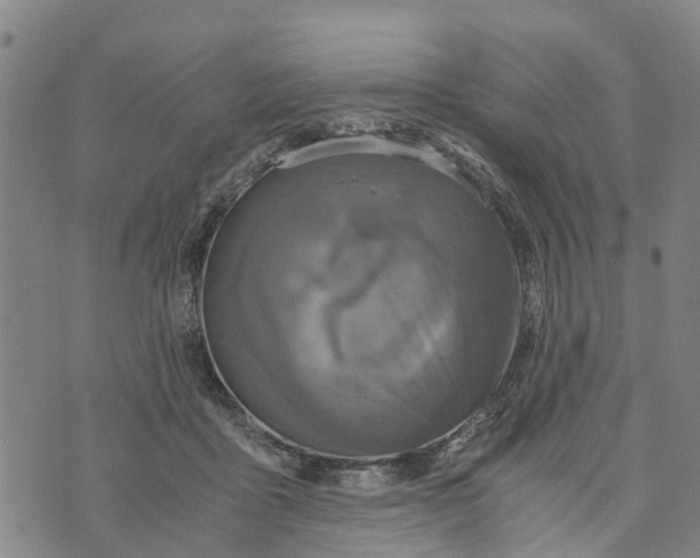 X0000073750411200608241352