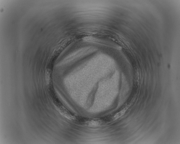 X0000073750412200608241352