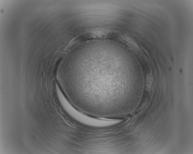 X0000073750413200608241352