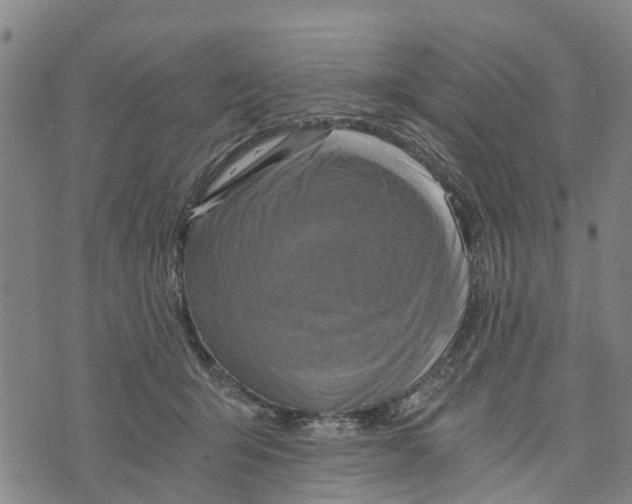 X0000073750415200608241352