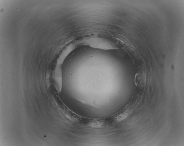 X0000073750416200608241352