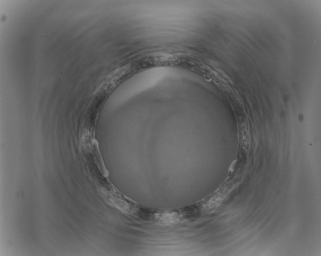 X0000073750419200608241352