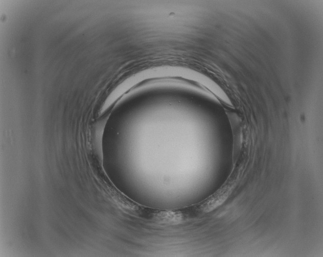 X0000073750421200608241352