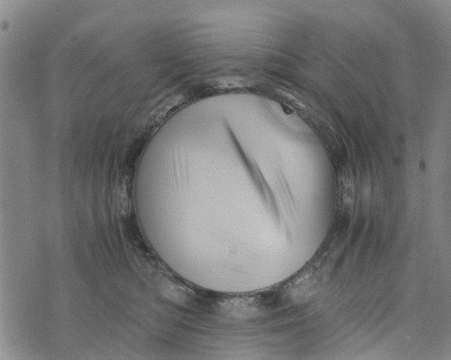 X0000073750422200608241352