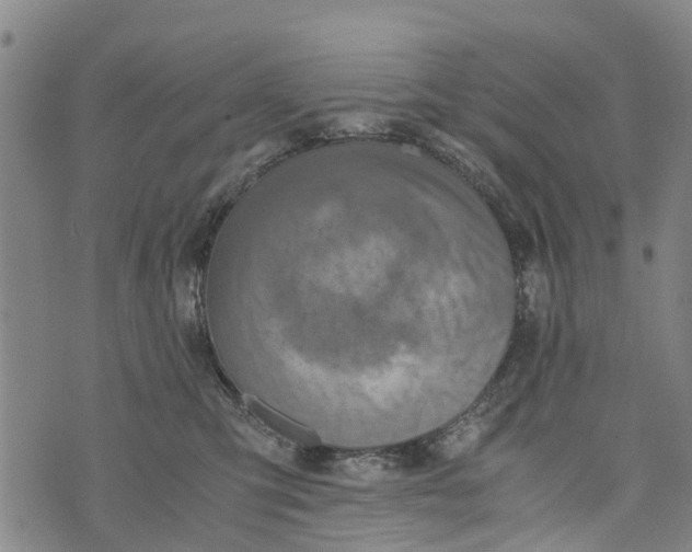 X0000073750423200608241352