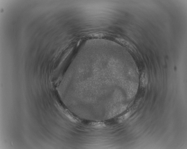 X0000073750424200608241352