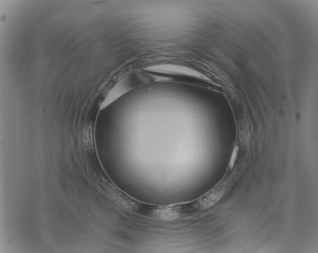 X0000073750425200608241352