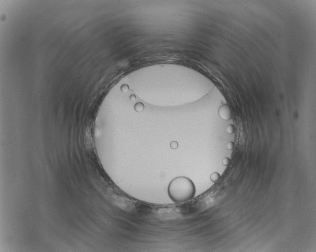 X0000073750426200608241352