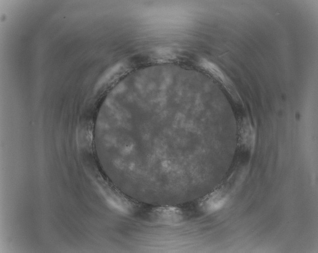 X0000073750427200608241352